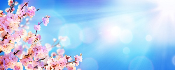 戰(zhàn)疫情，北京韋林公司全體員工齊心協(xié)力共克時(shí)艱！
