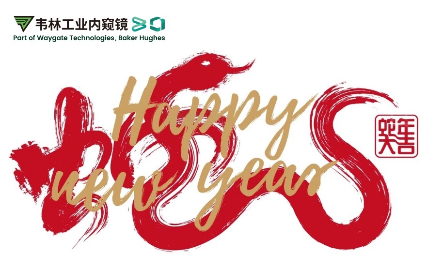韋林公司祝您：蛇年大吉,福滿(mǎn)乾坤！